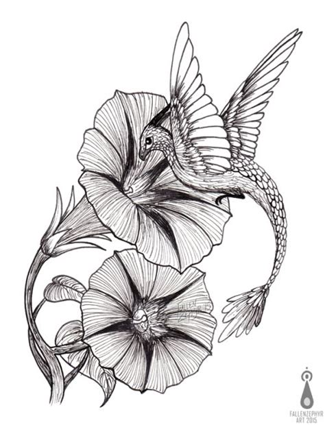 morning glory tattoo|morning glory tattoo sketch.